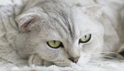 我以为已经过去了，结果年末快递单上的名字，让我彻底离职，最后一句最扎心。