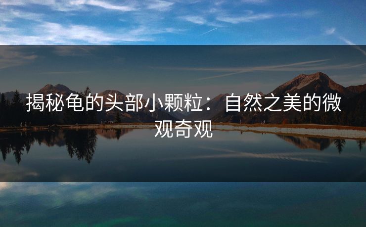 揭秘龟的头部小颗粒:自然之美的微观奇观 揭秘龟的头部小颗粒:自然之美的微观奇观