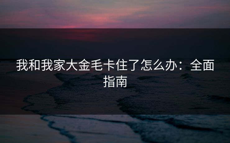 我和我家大金毛卡住了怎么办：全面指南