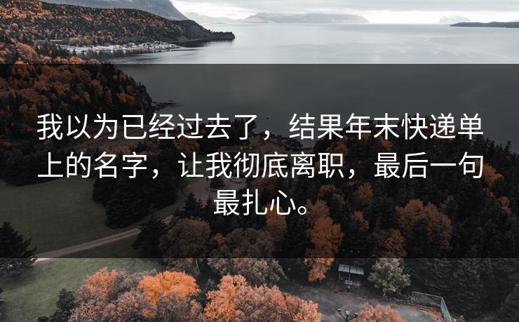 我以为已经过去了，结果年末快递单上的名字，让我彻底离职，最后一句最扎心。